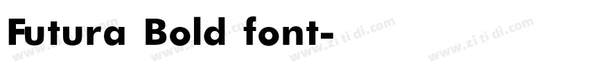 Futura Bold font字体转换